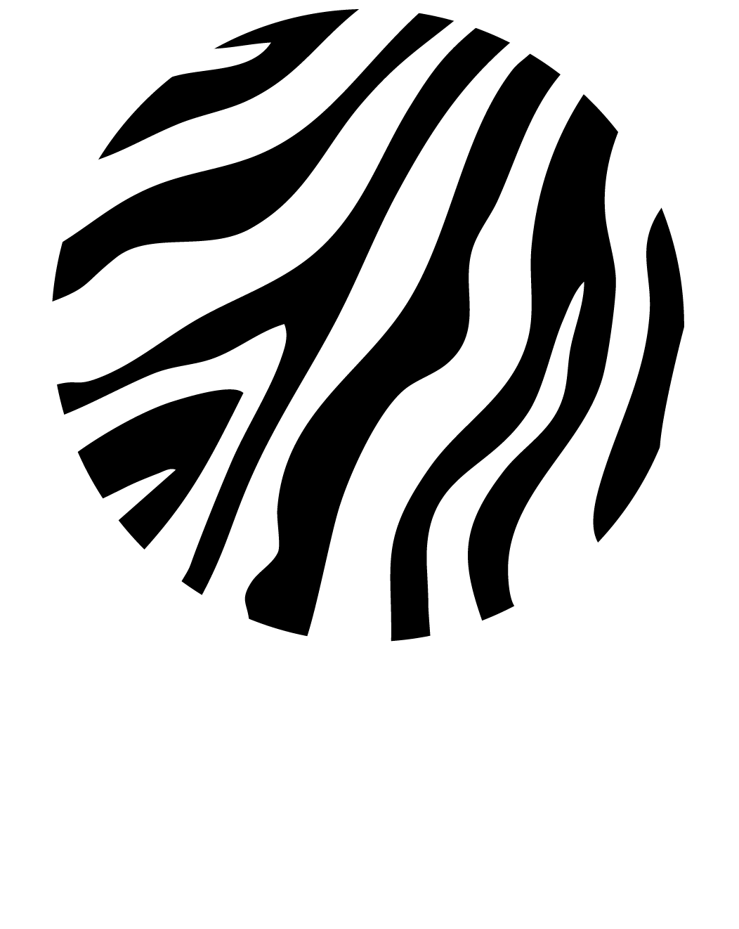 Zebra AI